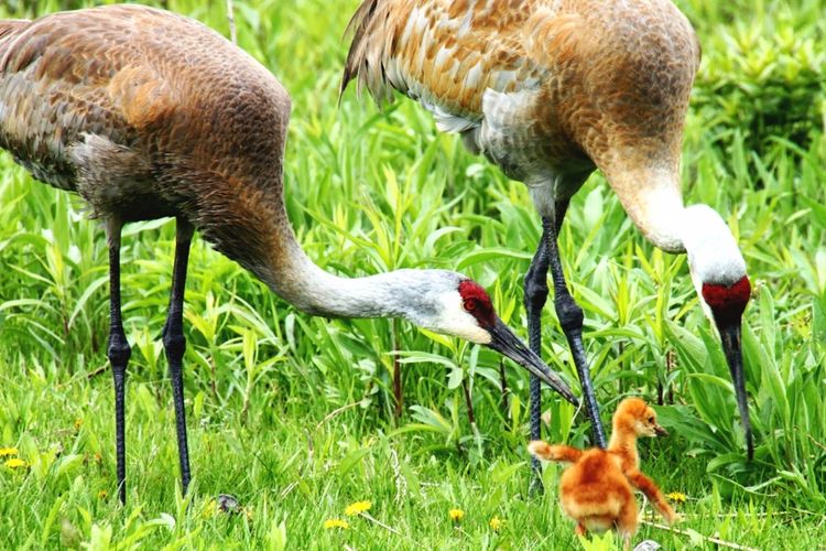 Monona, WI Homes for Sale and Realtors