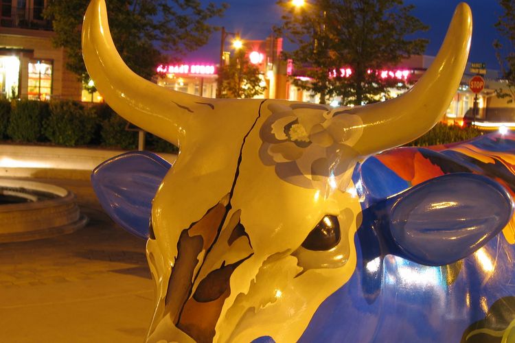 Sun Prairie, WI Real Estate and Homes for Sale